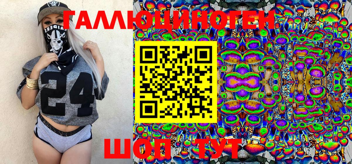 Псилоцибиновые грибы Psilocybe Строитель