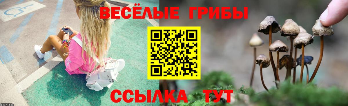 Псилоцибиновые грибы MAGIC MUSHROOMS  Вход с VPN  Строитель 
